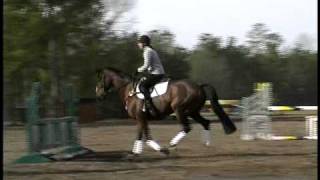 Phillip Dutton Pro Tips  Horse Jumping Tips  Horse Jumps [upl. by Jer615]