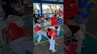 taekwondo training sparing 1vs 2 fight 💪 [upl. by Alahs]