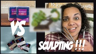 Sculpey Premo vs Fimo Professional  How To Sculpt with Polymer Clay as a Beginner [upl. by Delija409]