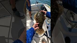 Barnegat Bay Flounder Fishing [upl. by Kirch229]