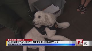 Wake County Sheriffs Office gets new therapy dog [upl. by Cosmo]