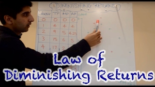 Y2IB 1 Law of Diminishing Returns [upl. by Areema]