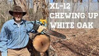 Vintage 1970s Homelite XL12 Chainsaw Review [upl. by Nidia453]