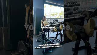 25 Hammer Strength Plate Loaded Leg Extension [upl. by Yajeet]