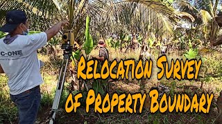 Relocation Survey of Property Boundary  Part 2  Completed  Bukidnon [upl. by Waverly617]