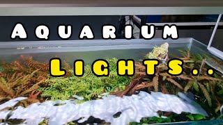 The BEST LIGHT for your Aquarium [upl. by Nacnud]