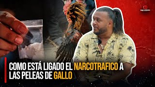 EXPLICA TODO LO QUE HAY DETRÁS DE LOS GALLOS EN REPDOM  EL QUÍMICO [upl. by Arriet]