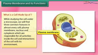 Class 8 Science  Cell Structure and Functions [upl. by Weston]