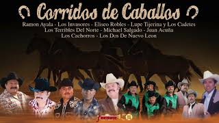 Corridos De Caballos  Ramon Ayala Cadetes Invasores y mas [upl. by Cirillo]