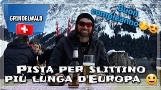 GRINDELWALD pista per slittino più lunga dEuropa😀 [upl. by Niggem393]