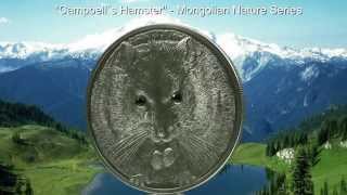 500 Togrog silver coin  quotCampbell´s Hamsterquot  Mongolian Nature series  Mongolia 2015 [upl. by Hilliard]