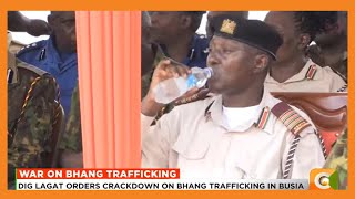 DIG Lagat orders crackdown on bhang trafficking in Busia [upl. by Hally597]