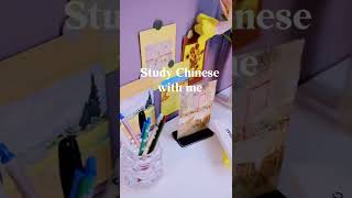 Chinese Studying Journal bulletjournal chinese journal [upl. by Lawrence]