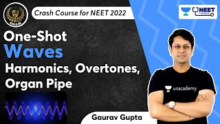 Phoenix 20 Physics Most Important Video for NEET 2025  Unacademy NEET Toppers  NEET [upl. by Pride]