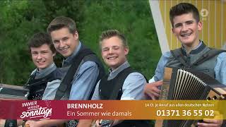 Brennholz  Ein Sommer wie damals  Immer wieder Sonntags vom 21072024  DAS ERSTE [upl. by Sayres]