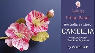 Crepe paper flower How to make paper Camellia flower from crepe paper easy tutorial [upl. by Ayotaj]