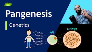 Theory of Pangenesis  Gemmules  Transmission of Characters  Basic Science Series [upl. by Nitsruk504]