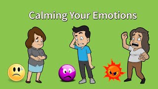 DBT Skills Emotion Regulation and Calming Your Emotions [upl. by Yentyrb]