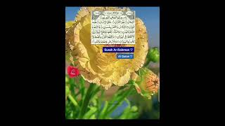 Surah ArRahman ♡  Al Quran ♡  The Straight path  صراط المستقيم [upl. by Yslek]