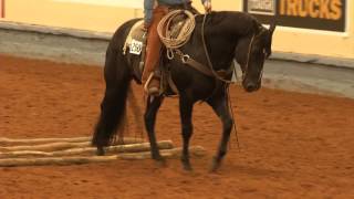 AQHA Ranch Pleasure Class [upl. by Yelrebmyk]