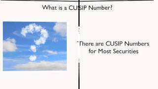 What is a CUSIP Number [upl. by Oiram574]