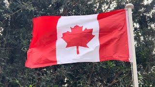 The New Maple Leaf Canada Canadian Flag Waving 🇨🇦 [upl. by Bank852]