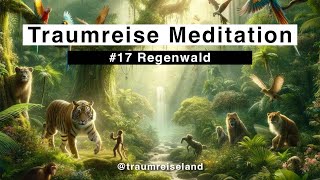 Traumreise 17  Regenwald [upl. by Daahsar52]