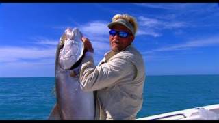 Yellowtail Snapper Grouper and Amberjack Fishing in Key West Florida [upl. by Lucias]