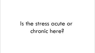 Psychology LongTerm Stress Response [upl. by Othilia]