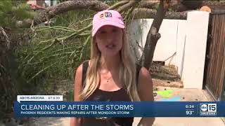 Storm Damage Cleanup After Monsoon Storms Hit Arcadia Neighborhood [upl. by Salbu]