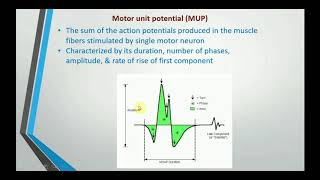 Electromyography EMG [upl. by Eciruam139]