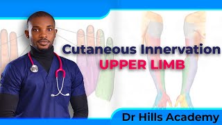 Cutaneous Innervation of the Upper Limb  Made Easy [upl. by Yelhs628]