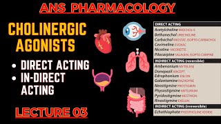 Cholinergic Agonists  Parasympathomimetic Drugs  Direct Acting amp indirect acting  L3 [upl. by Horsey]