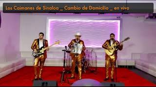 Los Caimanes de Sinaloa  Cambio de Domicilio  en vivo [upl. by Salas741]