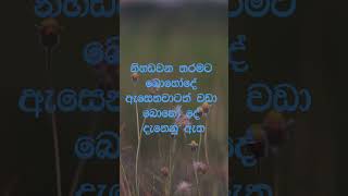 නිවන් දකින්න කාලය පැමිණ ඇත nibbana travel dhammadesana [upl. by Gnouhc342]