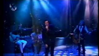 The Screaming Jets  Shivers  Tonight Live 1993 [upl. by Zinck125]