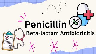 Penicillin Betalactam Antibiotic Mechanism of action How ti works [upl. by Carolyn]