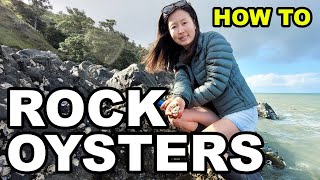 How To Collect Shuck and Eat WILD OYSTERS [upl. by Sucy]