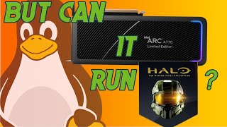 Intel Arc A770  Linux How does HaloMCC run on openSUSE [upl. by Emmons729]