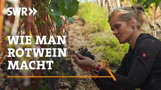 Wie man Rotwein macht  SWR Handwerkskunst [upl. by Viole]