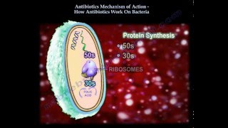 Pharmacology  NSAIDs amp PROSTAGLANDIN ANALOGS MADE EASY [upl. by Odlopoel]