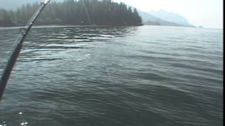 Alaska Salmon Shark Fishing Part 1 [upl. by Nilecoj575]