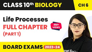 Life Processes Class 10 Full Chapter Part 1  CBSE Class 10 Biology Chapter 6 202223 [upl. by Fong]