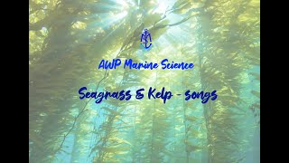 Ocean’s Garden The Seagrass and Kelp Anthem [upl. by Henrique220]