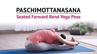 Paschimottanasana  Seated Forward Bend Yoga Pose  Steps  Benefits  Yogic Fitness [upl. by Odnam21]