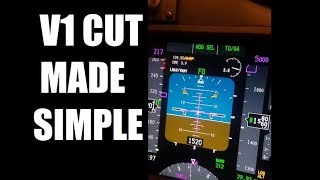 B737 Single Engine Rudder Explained [upl. by Jany280]