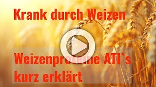 Krank durch Weizen  Symptome der Weizensensitivität  Weizenproteine ATIs kurz erklärt [upl. by Nylhsa]