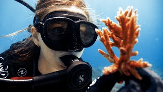 Fregate Island Coral restoration scaling up [upl. by Ahsetel]