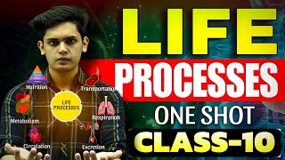 Life Processes Complete Chapter🔥 CLASS 10 Science  NCERT Covered Prashant Kirad [upl. by Llacam]