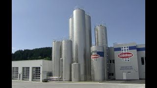 SteirermilchBerglandmilch Eröffnung der Käserei Voitsberg [upl. by Eirrem]